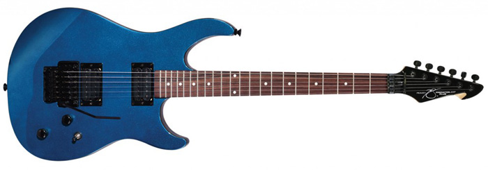 Predator Plus EXP Review: This was my first guitar, but since then